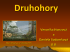 Druhohory