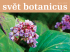 číslo 18 - Botanicus