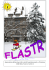 Flastr 1 2010