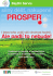 DM Prosper 2012 - Bayer CropScience