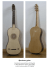 Renaissance guitar