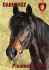 Plemeníci 2015 DARHORSE