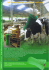 Drbadlo pro krávy – rotační kartáč vertikální