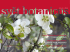 duben 2012 Dalším číslem časopisu Svět Botanicus vás vítáme v