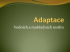 1-adaptace