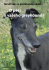 Péče o greyhounda